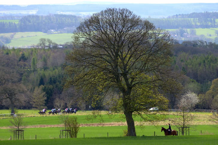 Countryside Alliance (Wessex) Review February 2023