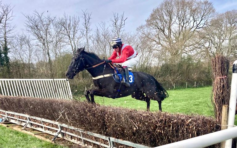 Seavington point to point 2023
