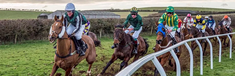 South Dorset Point to Point Review