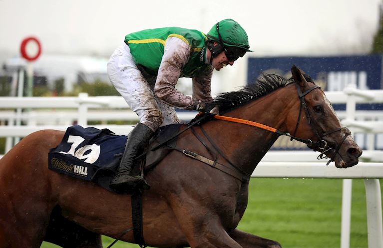 RANDOX GRAND NATIONAL NEWS: HORSE BOUGHT FOR JUST €1,400 ON USED CAR WEBSITE LANDS WILLIAM HILL HAND