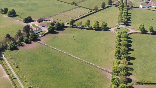 The National Stud Update