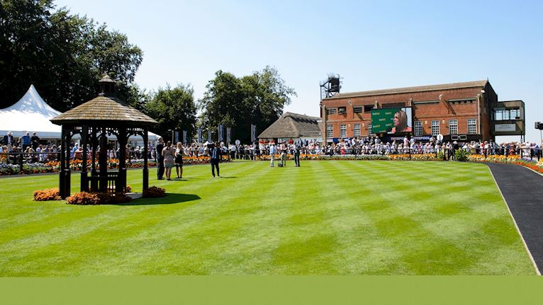 NEWMARKET JULY PARADE RING 16X9.jpg