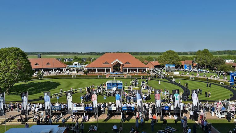 NEWMARKET ROWLEY PARADE RING 16X9.jpg