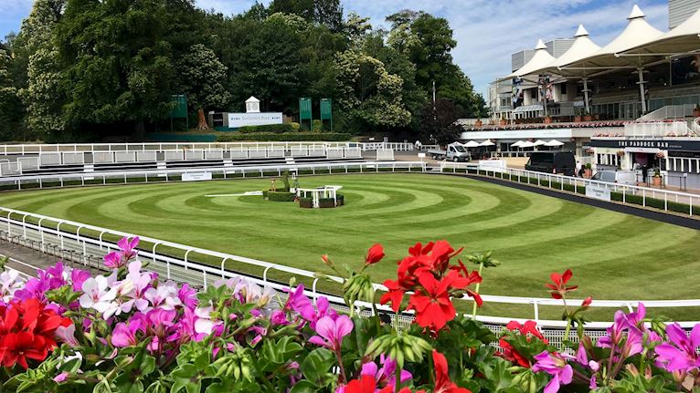 Your favourite parade ring!