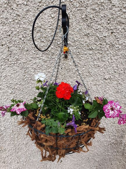 Hanging basket 1 resized.jpg