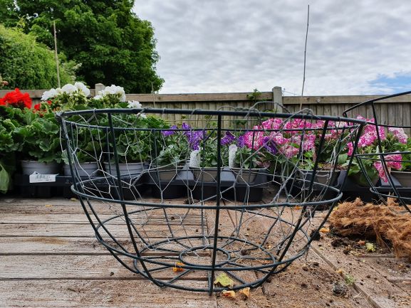 Hanging basket 14 resized.jpg