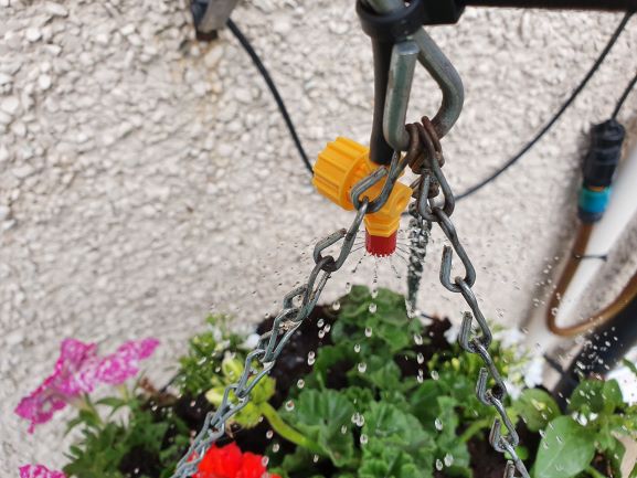 Hanging basket 2 resized.jpg