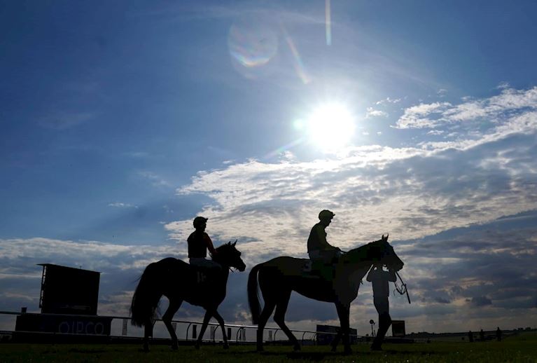 HorseWelfare_DualContent (1).jpg