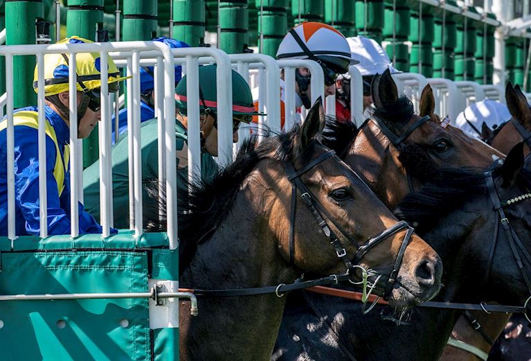 Jockey Club Racecourses to stage 347 racedays in 2019