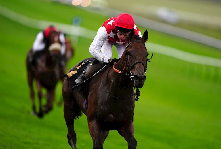 Five horses who thrived in Dubai and the UK in 2024