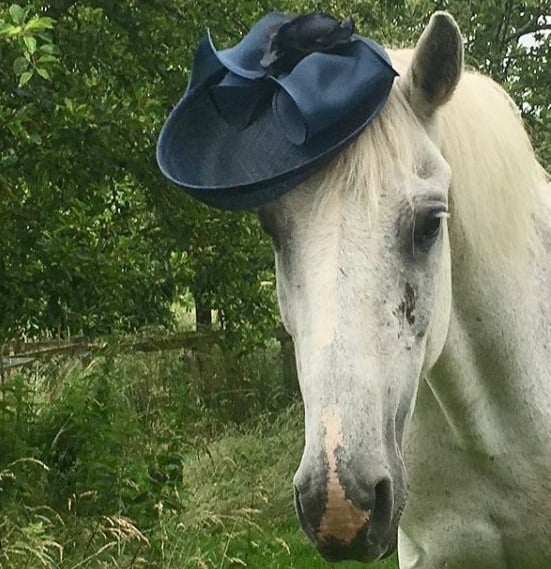 @getaheadhatshexham horse hat by @zoewarde_photography.jpg